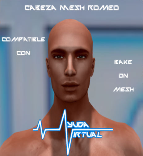 Cabeza Mesh Romeo – Ayuda Virtual