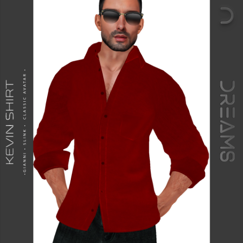 Kevin Shirt – DREAMS