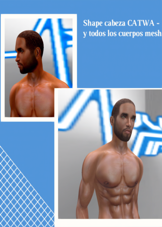 Shape – Ayuda Virtual