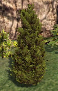 Arbusto – Mesh Plants